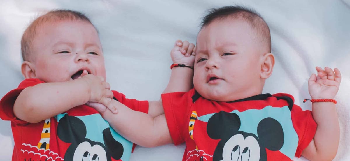 What to expect the first year twins