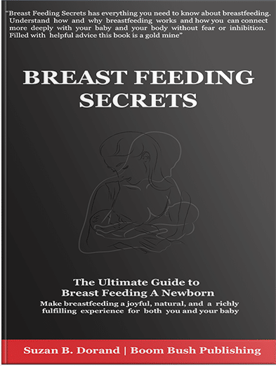 BREAST FEEDING Secrets Book Cover